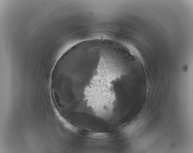 X0000092091439200709191236