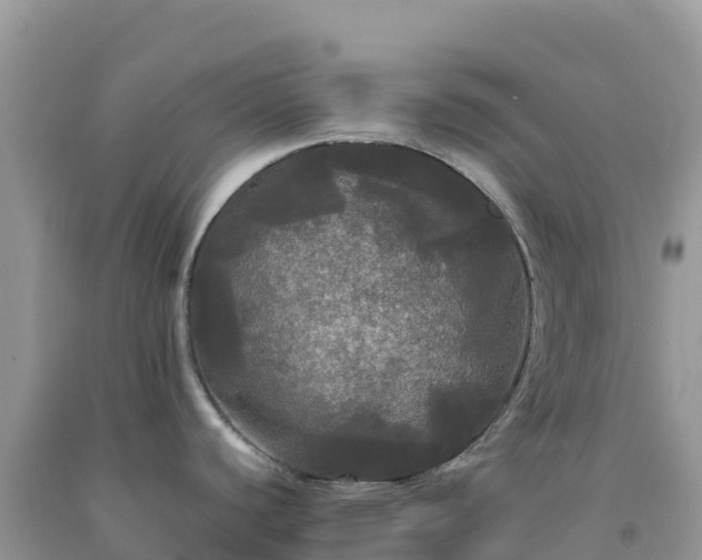 X0000092091440200709191236