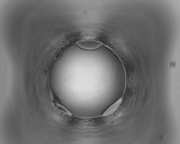 X0000092091441200709191236