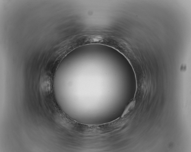 X0000092091442200709191236