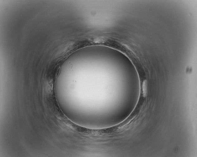 X0000092091443200709191235