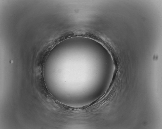 X0000092091445200709191235
