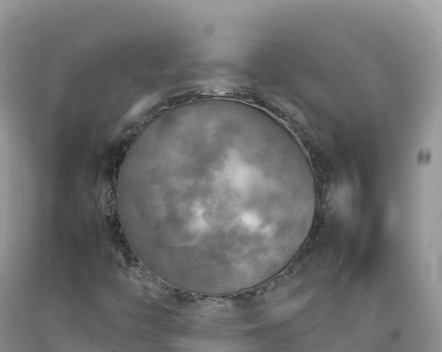 X0000092091446200709191235