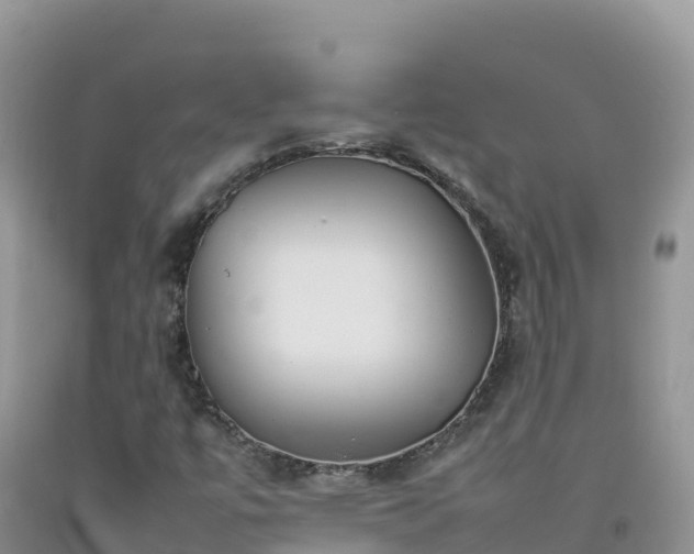X0000092091447200709191235