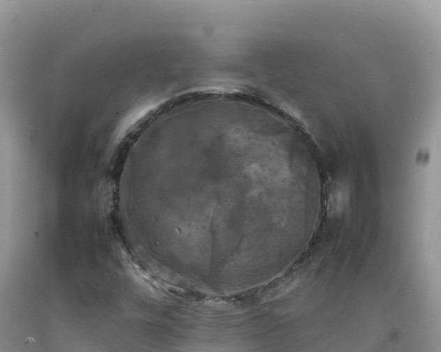 X0000092091448200709191235