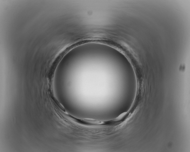 X0000092091449200709191235