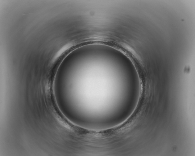 X0000092091450200709191235