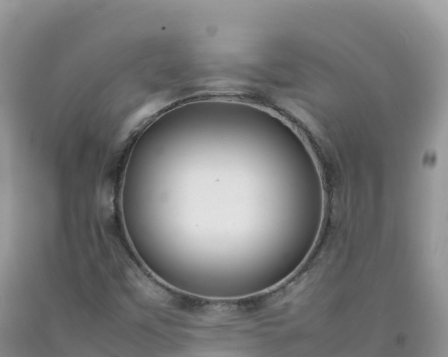 X0000092091451200709191235