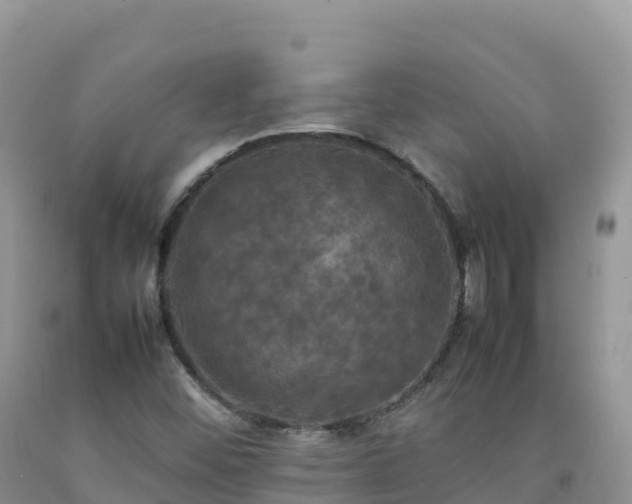 X0000092091452200709191235