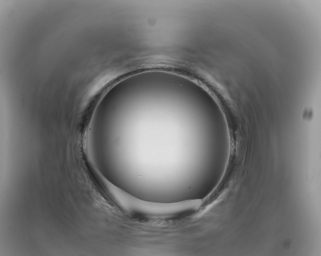 X0000092091453200709191235