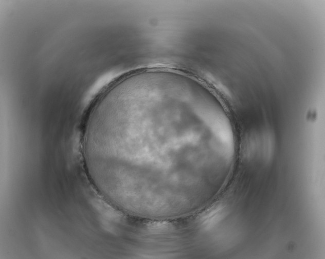 X0000092091454200709191235