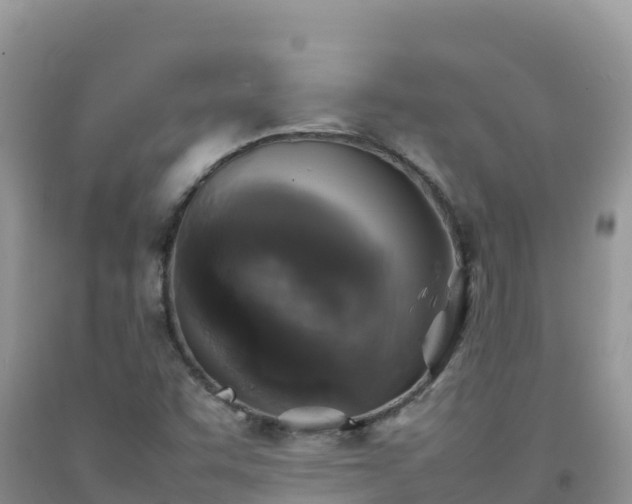 X0000092091455200709191235