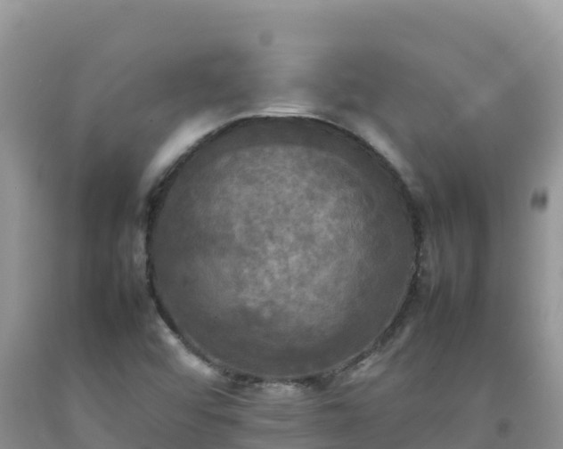 X0000092091456200709191235