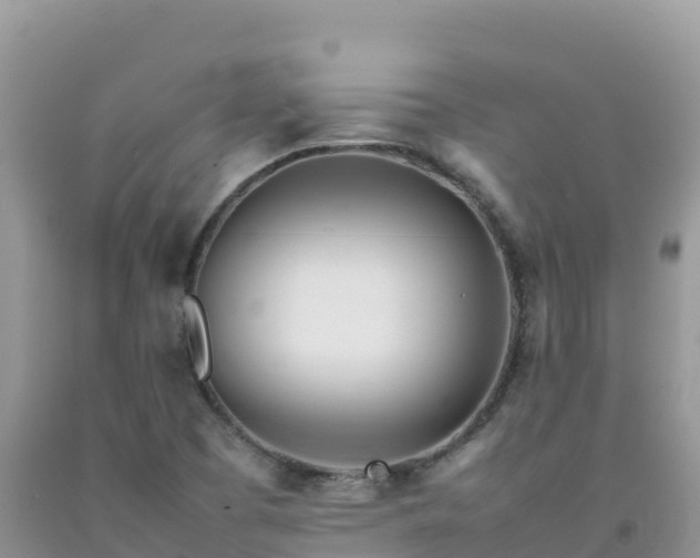 X0000092091457200709191235
