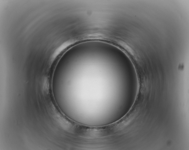 X0000092091458200709191235