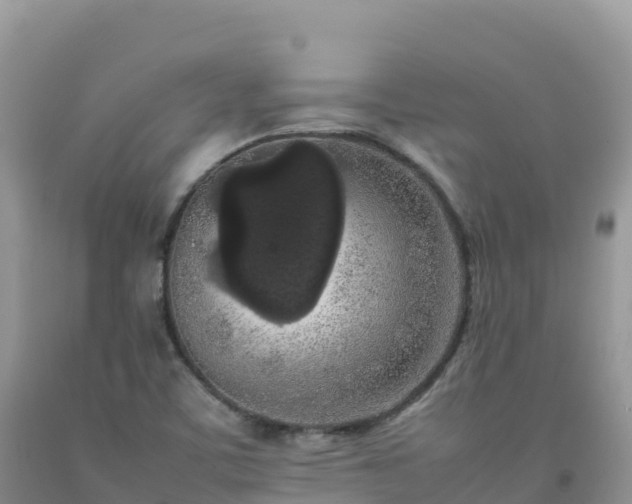 X0000092091459200709191235