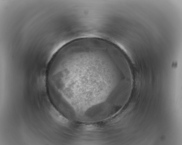 X0000092091460200709191235