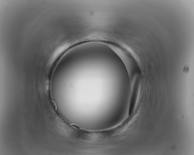 X0000092091461200709191235