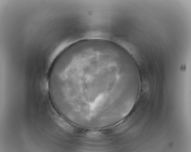X0000092091462200709191235