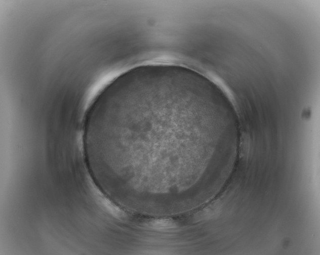 X0000092091464200709191235