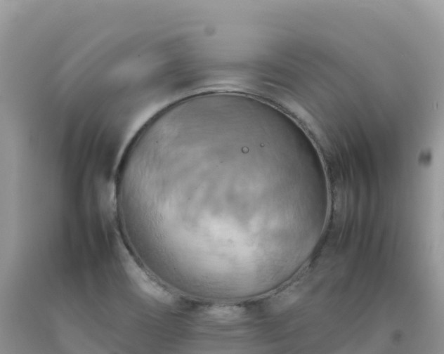 X0000092091466200709191235