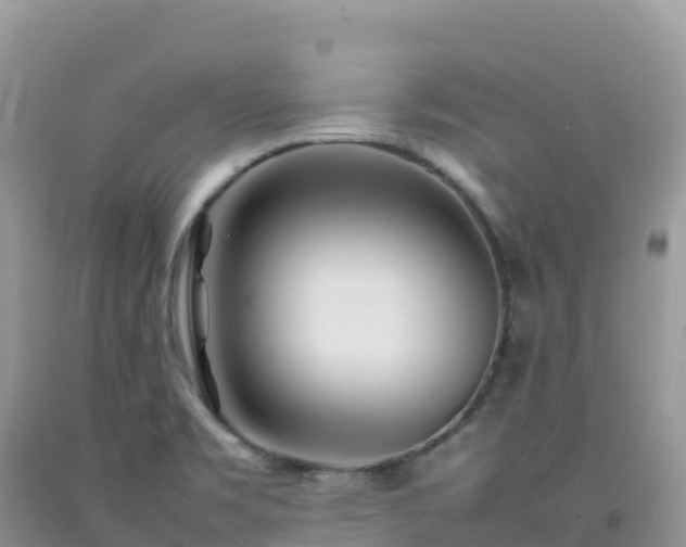 X0000092091469200709191235