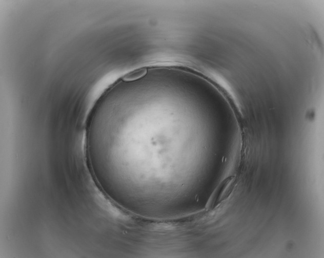 X0000092091472200709191235