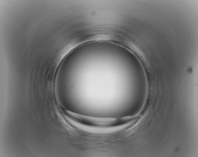 X0000092091473200709191235
