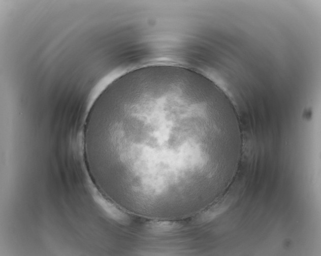 X0000092091474200709191235