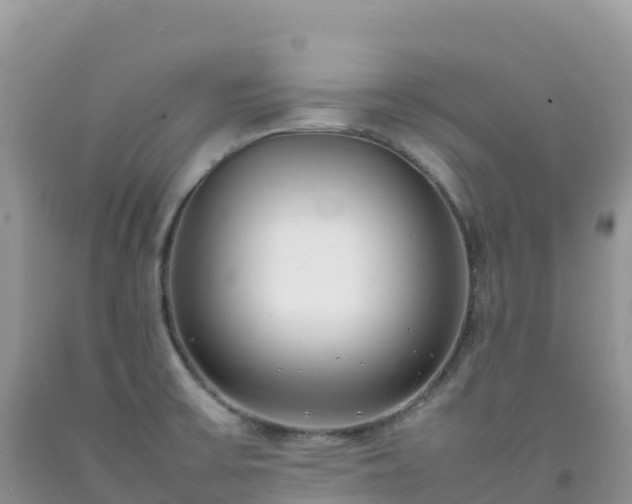 X0000092091475200709191235