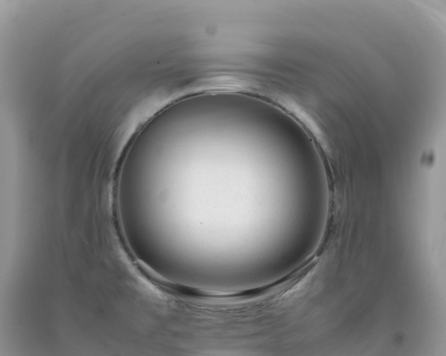 X0000092091477200709191235