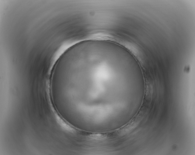 X0000092091478200709191235