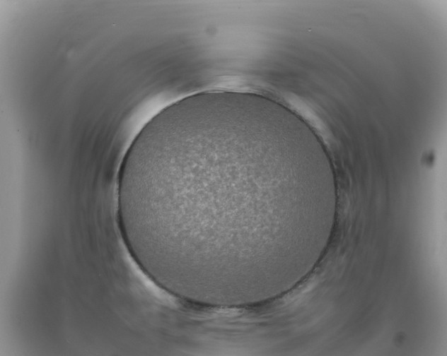 X0000092091479200709191235