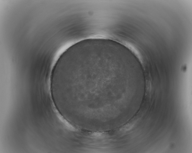 X0000092091480200709191235
