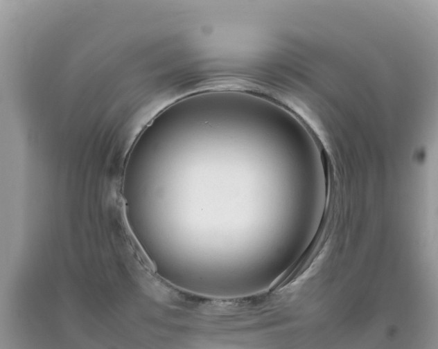 X0000092091481200709191235