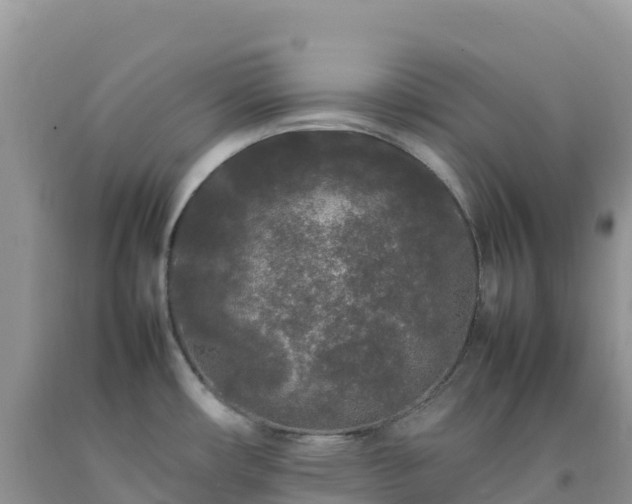 X0000092091482200709191235