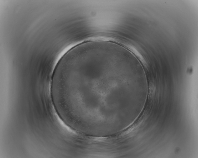 X0000092091484200709191235