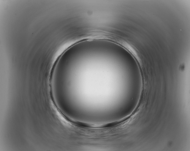 X0000092091485200709191235