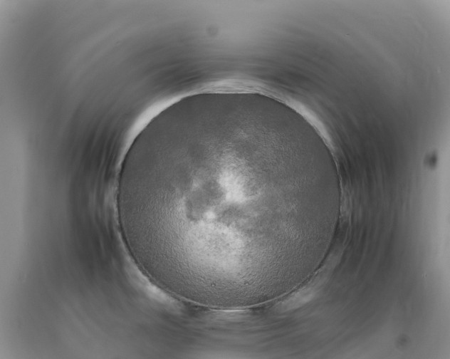 X0000092091486200709191235