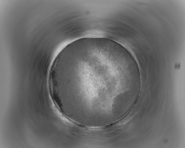 X0000092091488200709191235
