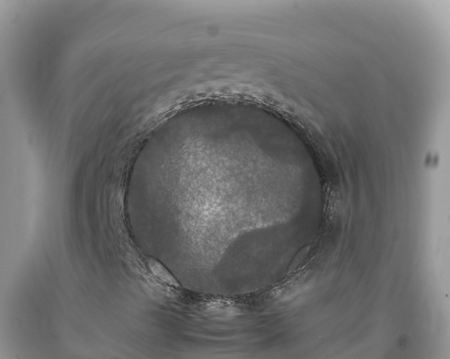 X0000092091489200709191234