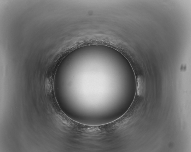 X0000092091491200709191234