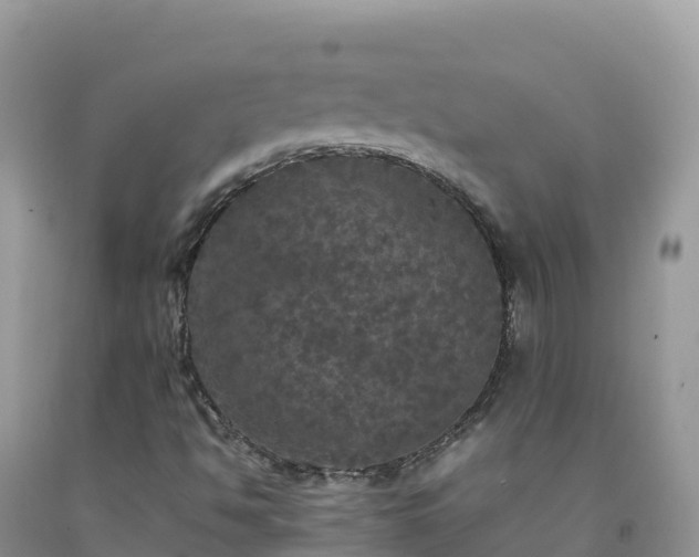 X0000092091494200709191234