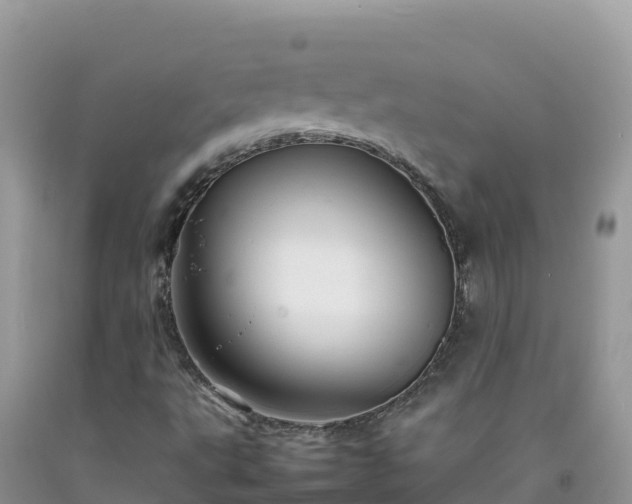 X0000092091495200709191234