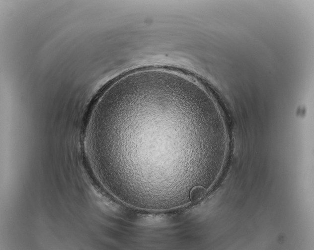 X0000092091497200709191234