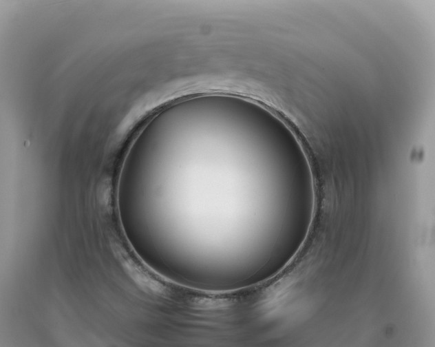 X0000092091499200709191234