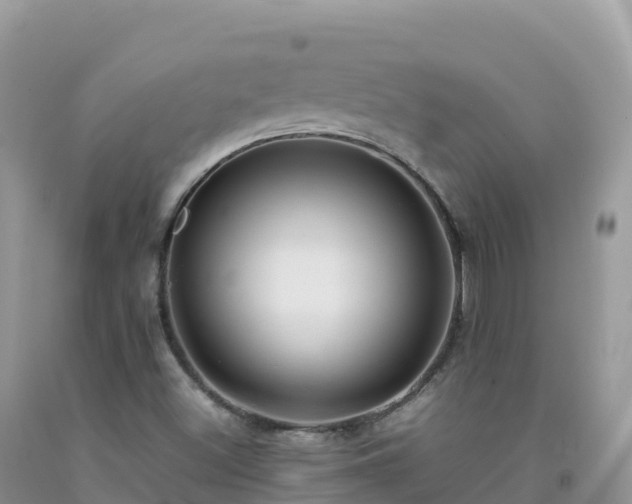X0000092091500200709191234