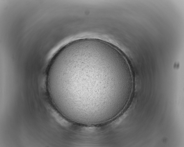 X0000092091502200709191234