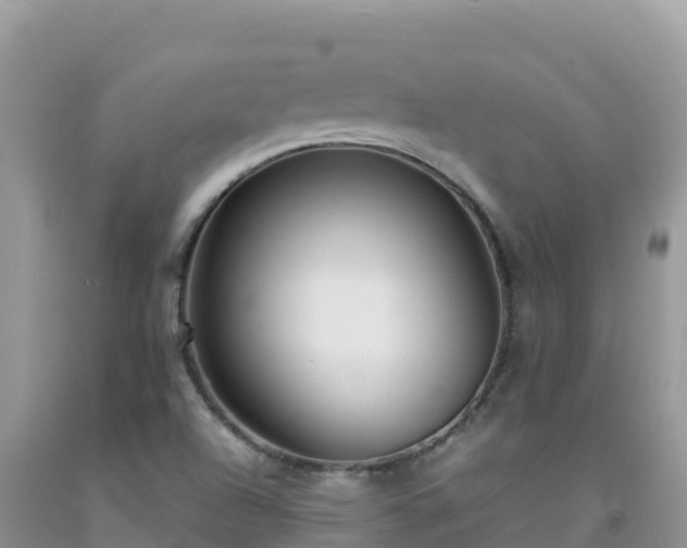 X0000092091504200709191234