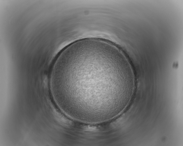 X0000092091505200709191234